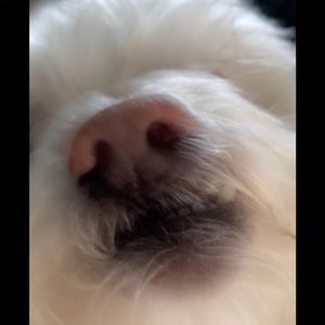 Meet your Posher, Eddie